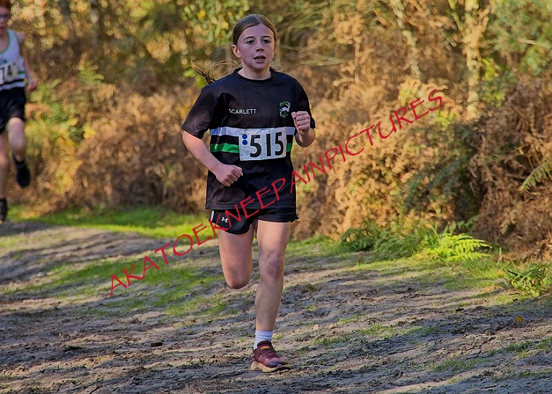 20261011 RRXCOCTA00196A.jpg