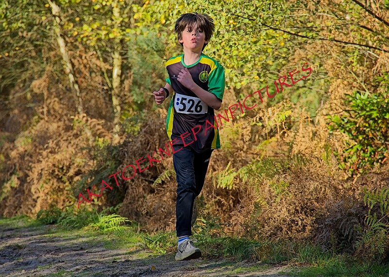 20261011 RRXCOCTA00206A.jpg
