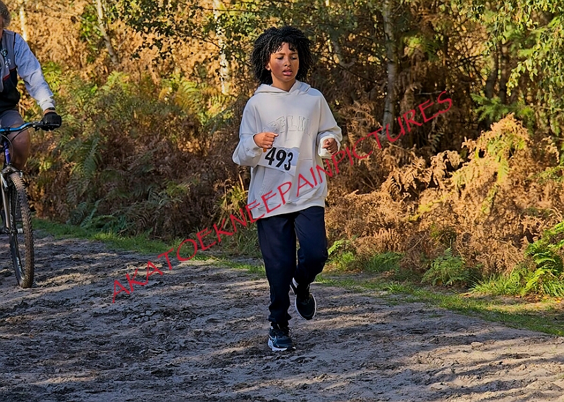 20261011 RRXCOCTA00257A.jpg