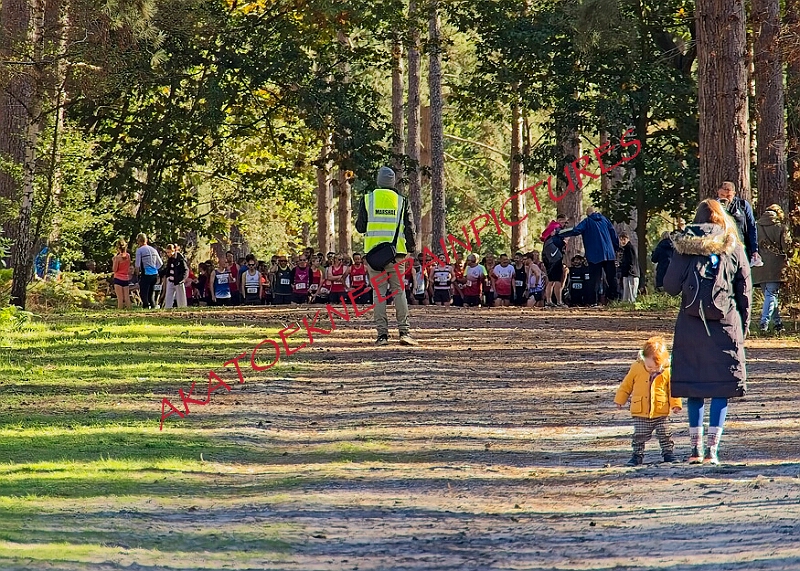 20261011 RRXCOCTB00001A.jpg