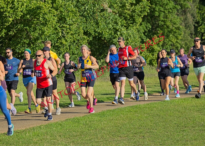 20260612 SANDRINGHAM10K00041A.JPG