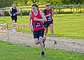 20260612 SANDRINGHAM10K00278A