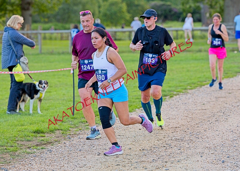 20260612 SANDRINGHAM10K00591A.JPG