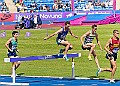 20250803UKACHAMPSSUNA00771A