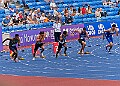 20250802UKACHAMPSSATA00513A
