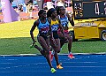 20250802UKACHAMPSSATA01111A