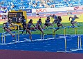 20250802UKACHAMPSSATA01313A