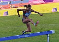 20250802UKACHAMPSSATA01527A