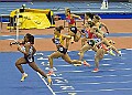 20260214 UKAINDDORSSATA00010A