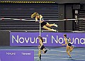 20260214 UKAINDDORSSATA00180A