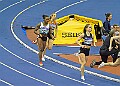 20260214 UKAINDDORSSATA00227A