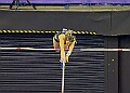 20260214 UKAINDDORSSATA00355A