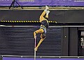 20260214 UKAINDDORSSATA00424A
