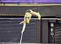 20260214 UKAINDDORSSATA00446A
