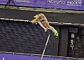 20260214 UKAINDDORSSATA00501A