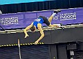 20260214 UKAINDOORSSATB00330A