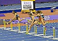 20260214 UKAINDOORSSATB00607A