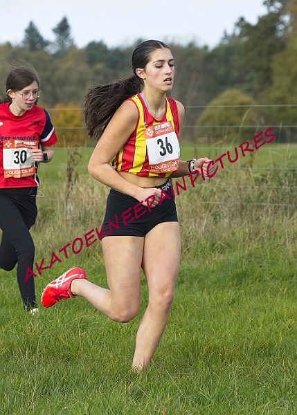 20231105WNACXC00090A.JPG