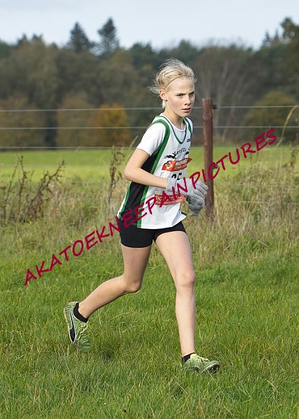 20231105WNACXC00108A.JPG